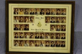 1981 Composite